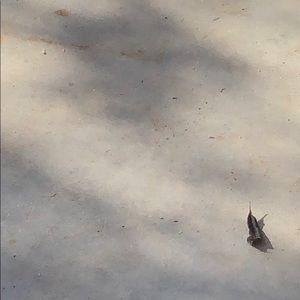 Meet your Posher, Matthew ariel isaac